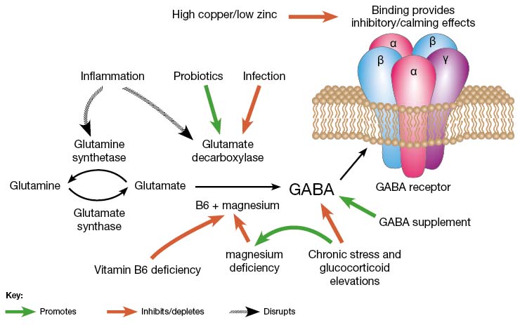 GABA Powder-3 GABA Powder-3