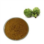 アーティチョークエキスパウダー