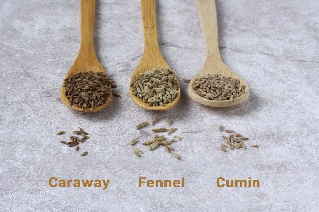 cumin-vs-fennel-vs-caraway