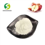 天然アップルサイダービネガーパウダー