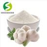 Garlic Extract Powder