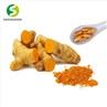 Curcumin Extract Powder