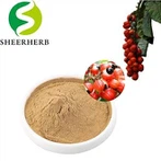 Nutricostのガラナパウダー